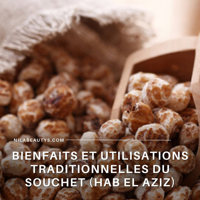 Bienfaits et Utilisations Traditionnelles du Souchet (Hab El Aziz) - nilabeautys.com