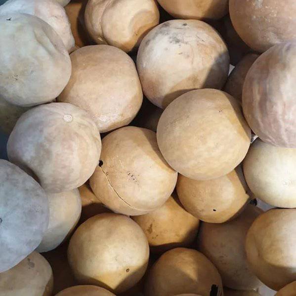 Coloquinte Vraie Séchée (El Handal) 100% Pure - Solution Naturelle pour Digestion, Cheveux et Confort Articulaire - nilabeautys.com