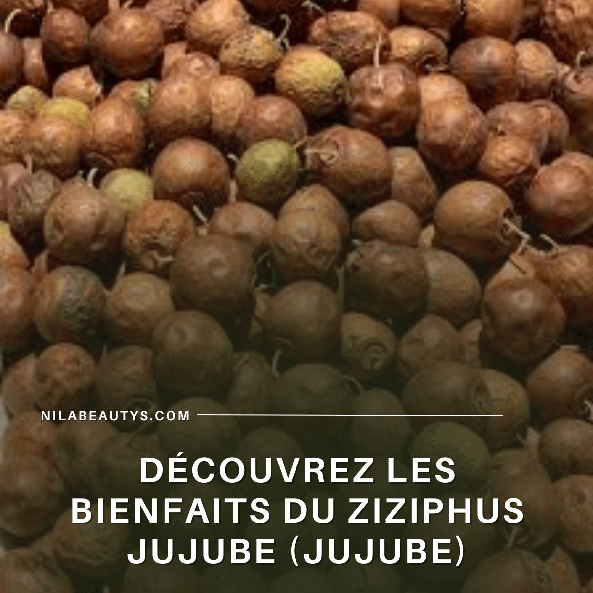 Découvrez les bienfaits du Ziziphus jujube (Jujube) pour votre santé - nilabeautys.com