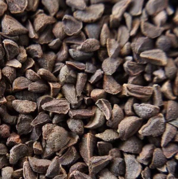 Encens de Plante Génévrier | Harhar Chance, Abondance et Prospérité – El Arâr Bio du Maroc - nilabeautys.com