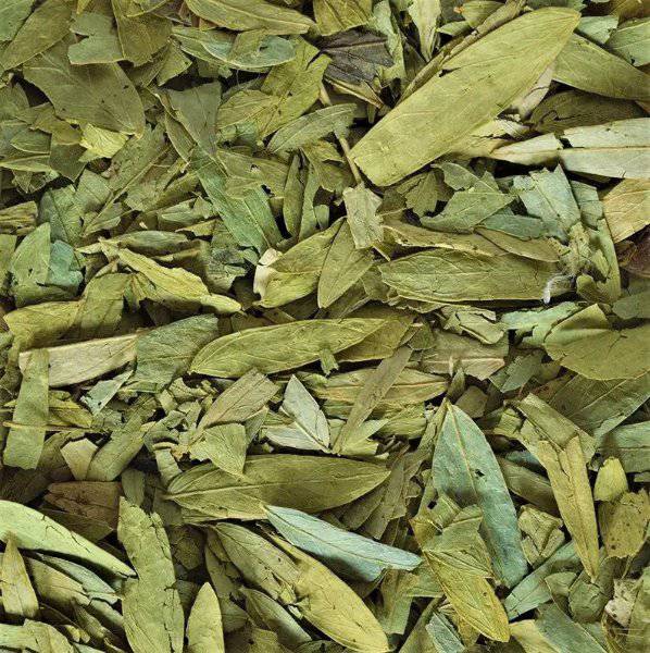 🌿 Feuille de Séné | Sana Makki – Plante Naturelle pour la Santé Digestive - nilabeautys.com