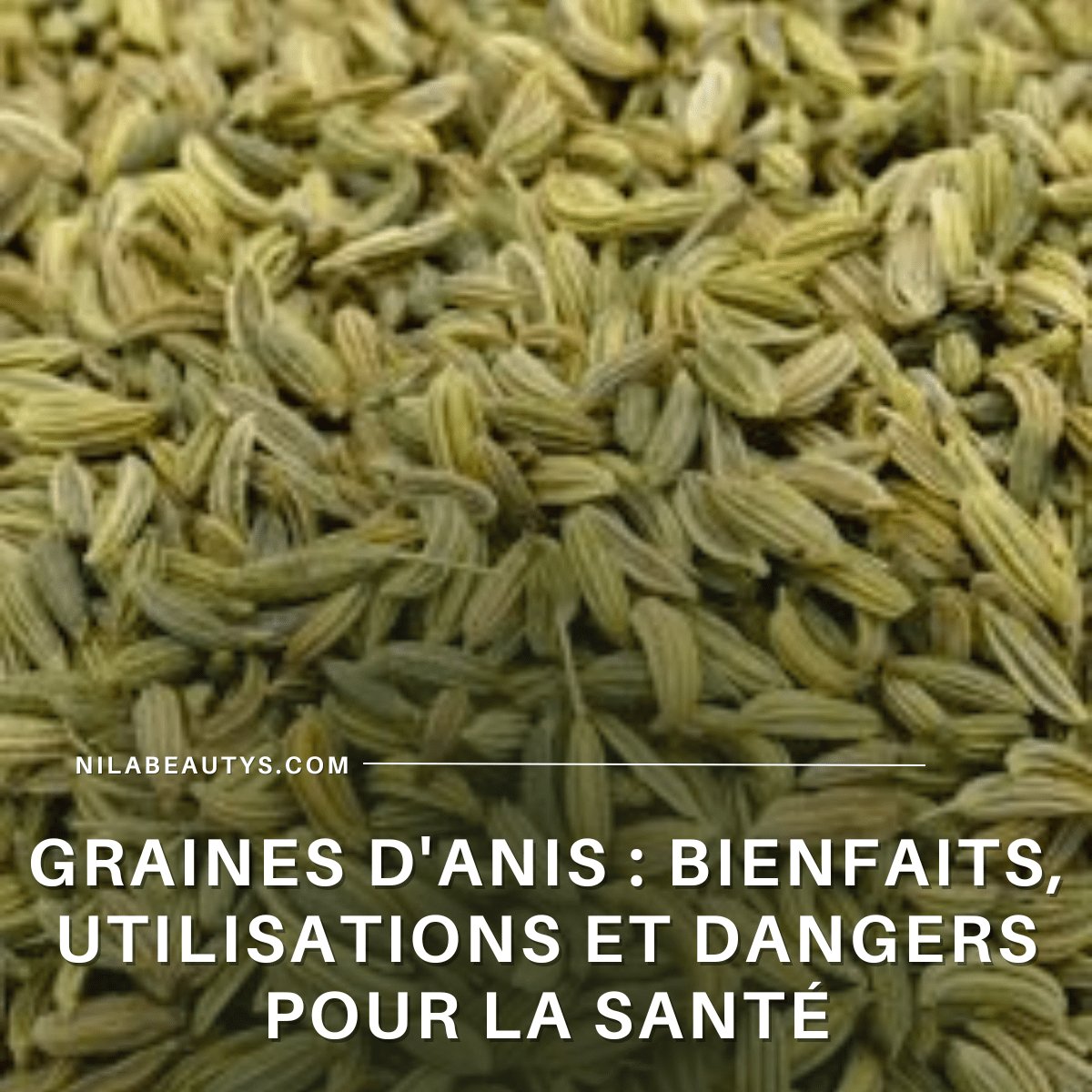 Graines d'anis : Bienfaits, Utilisations et Dangers pour la Santé - nilabeautys.com