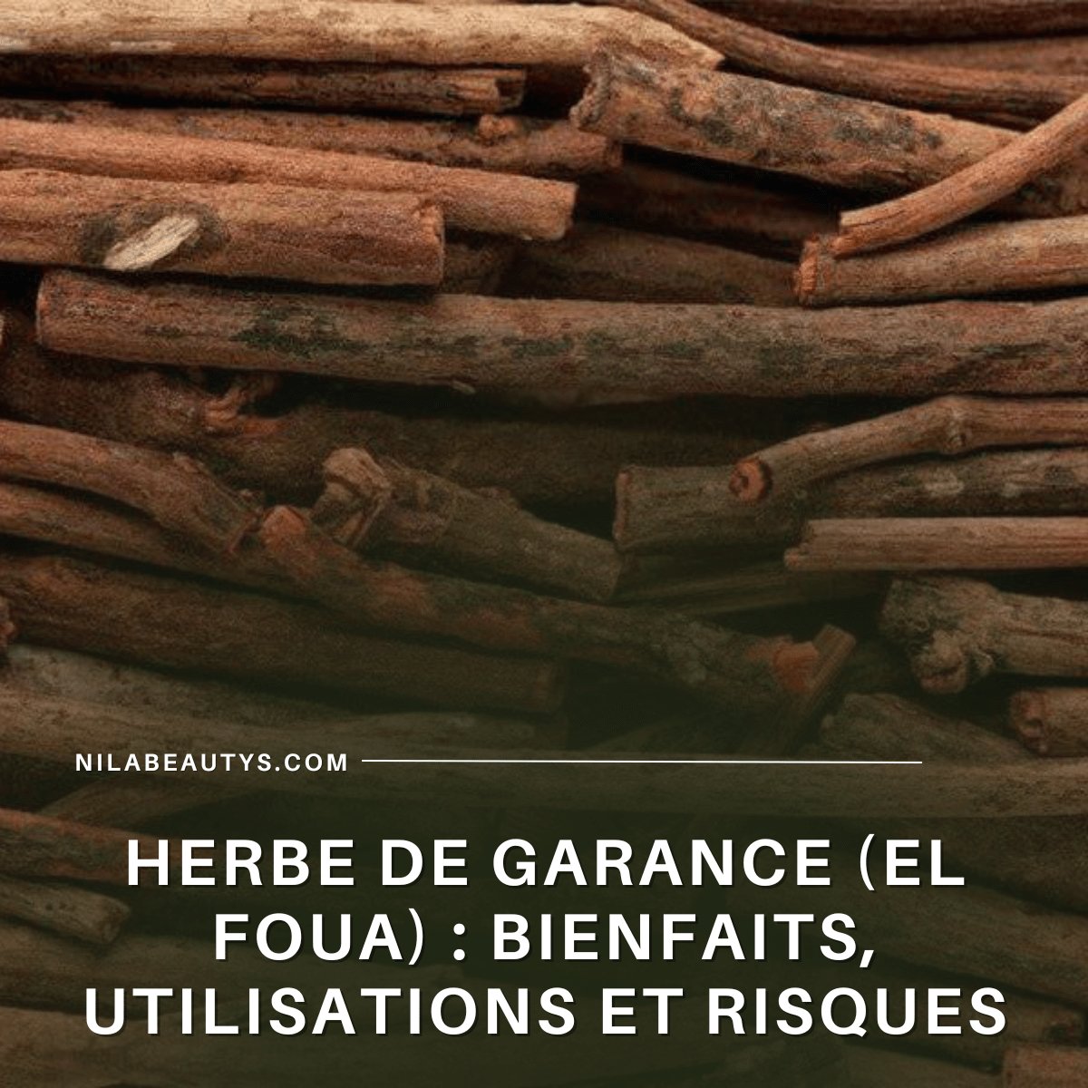 Herbe de Garance (El Foua) : Bienfaits, Utilisation et Précautions - nilabeautys.com