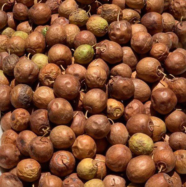 🌿 Jujube Naturel (Al Nabaq) – Un Superfruit aux Bienfaits Digestifs et Antioxydants - nilabeautys.com