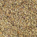 Graines de Ammi Visnaga daucoides | Graines de Khella 50g, 100g, 200g