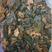 Commiphora - Makal Bleu 20g, 50g, 100g - Lamak Azrak - Moql Az Gomme bleue - nilabeautys.com