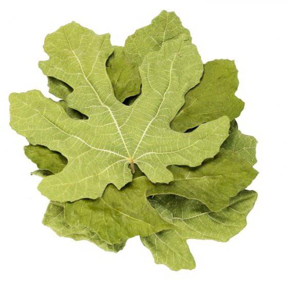 Feuilles de Figuier Séchées | Al Tin 100% Naturelles | 50g, 100g et 200g | ورق التين الجاف - nilabeautys.com