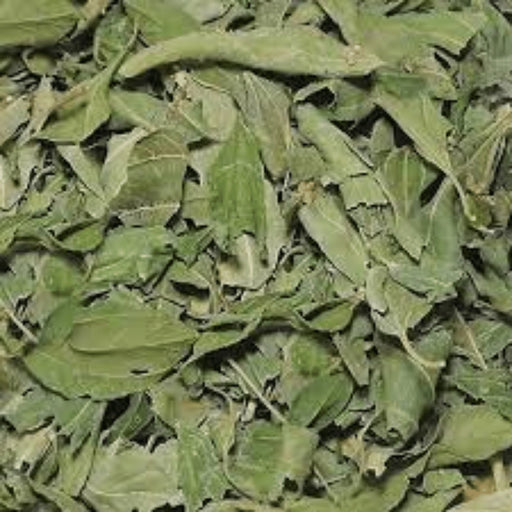 Feuilles de Jujubier Séchées | Sidr 100% Naturelles | 50g | 100g | 200g - nilabeautys.com