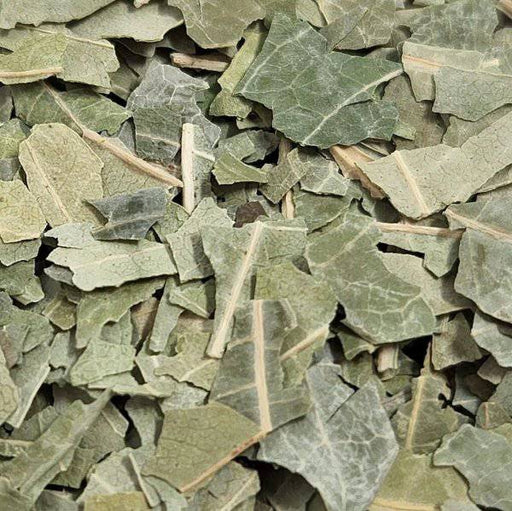 Feuilles de Margousier | Neem 100% Naturelles | 50g | 100g | 200g - nilabeautys.com