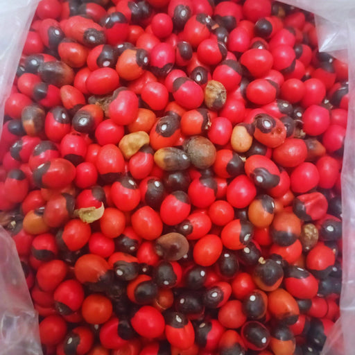 Habat Al Achk - Graines du Diable - 10g, 25g, 50g - حبة العشق - nilabeautys.com