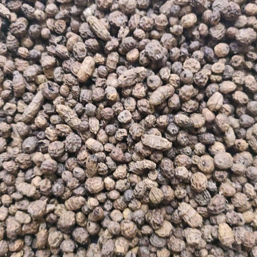 Habat el Aziz 50g, 100g, 200g | graines précieuses | Orsata | Souchet | Hab Laaziz | حبة العزيز - nilabeautys.com