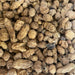 Habat el Aziz 50g, 100g, 200g | graines précieuses | Orsata | Souchet | Hab Laaziz | حبة العزيز - nilabeautys.com