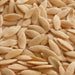 Graines de Concombre 50g | 100g | 200g | La fraîcheur naturelle à portée de main - nilabeautys.com