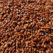 Graines de Roquette | Al Jarjir 50g | 100g | 200g | La puissance naturelle des antioxydants - nilabeautys.com