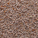Graines de Psyllium - Graines de Qatona 50g, 100g, 200g بذور القاطونة - nilabeautys.com