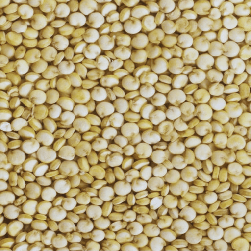 Graines de Quinoa 50g | Legumes quinoa | Graines à germer - nilabeautys.com