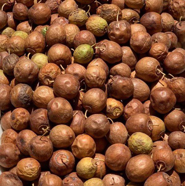 Jujube Naturel | Al Nabaq 50g | 100g | 200g | Soutien Digestif et Antioxydant Naturel - nilabeautys.com