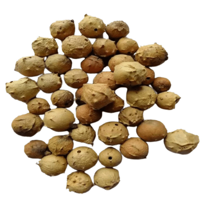 Noix de Galle 50g 100g 250g - nilabeautys.com