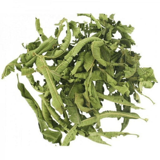 Verveine odorante 50g 100g 500g - Verveine séchée - Verveine citronnelle une plante herbacée - nilabeautys.com